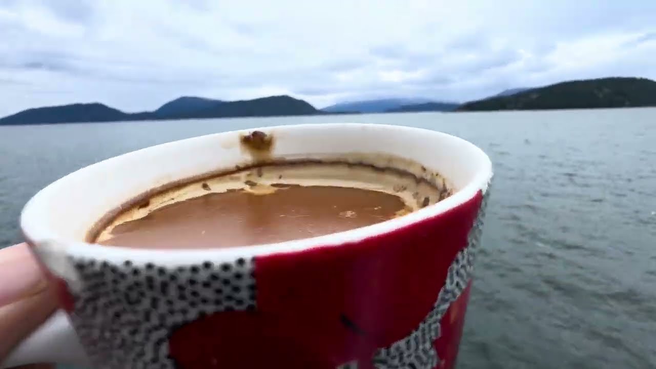 Your Daily Coffee with Vahid & Incredible Nature ☕️🌿 | Ocean Views 🌊🦅Cheers & enjoy the moment 😊☕️
