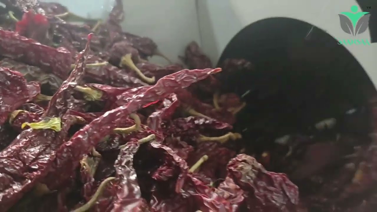 Kashmiri Chilli Automated Chilli Stem Cutting Machine | 2024 | Saansaa