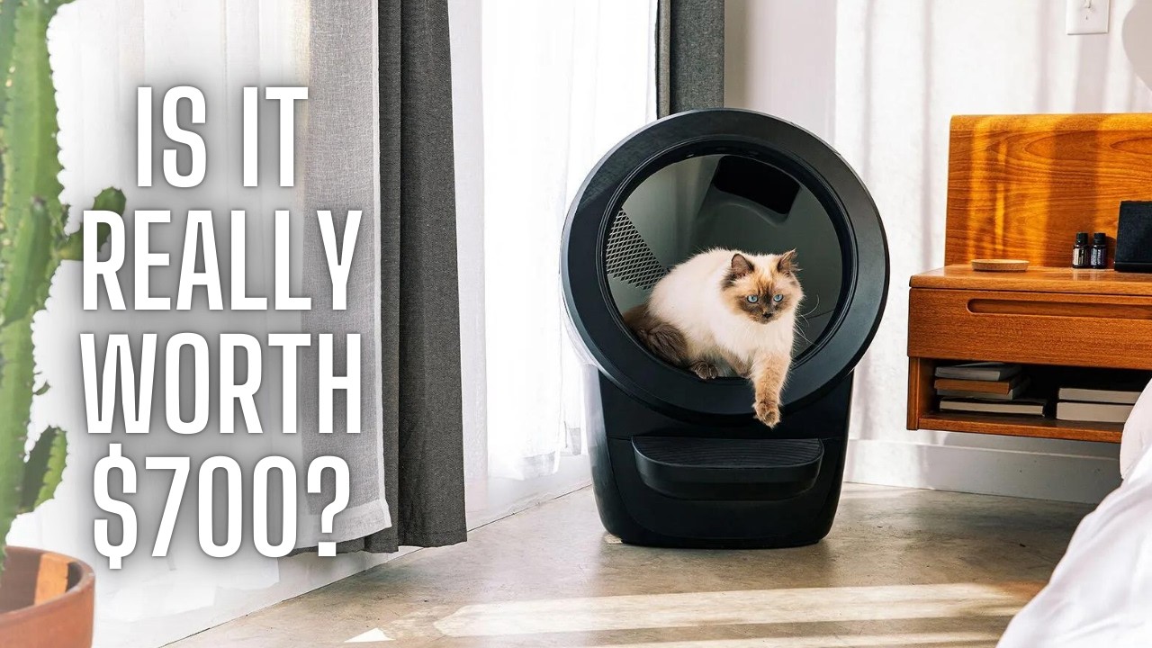 I bought the Litter robot 4. (So you don't have to.)