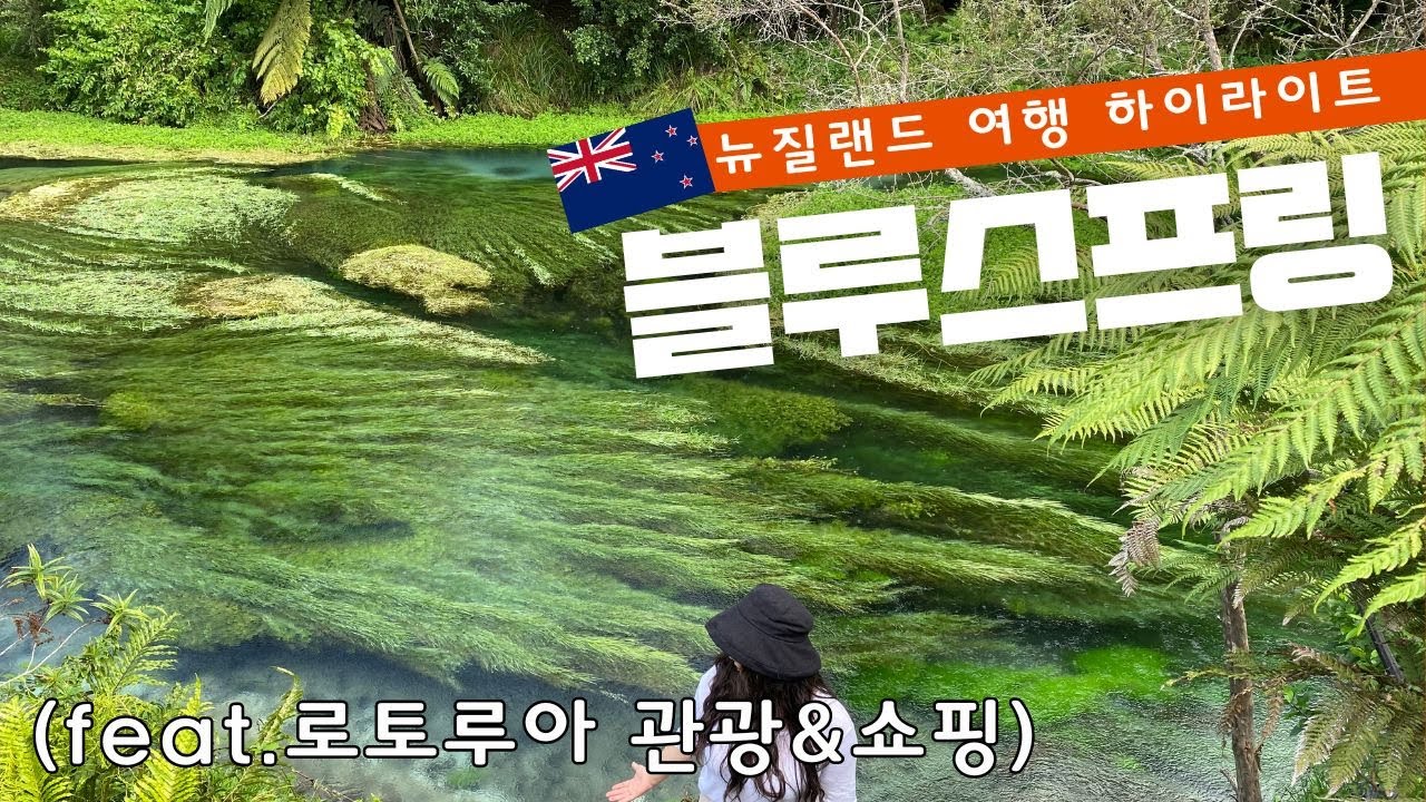 뉴질랜드 북섬여행 하이라이트 블루스프링 / 로토루아 시내 광광&쇼핑의 모든 것