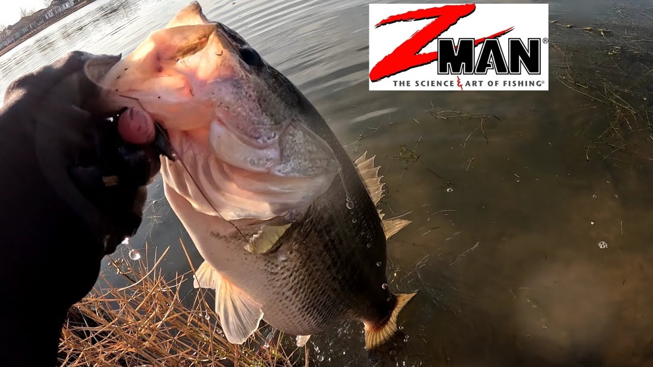 Winter grind 🥶🥶 chatterbait fishing for FAT bass!! #daiwa 