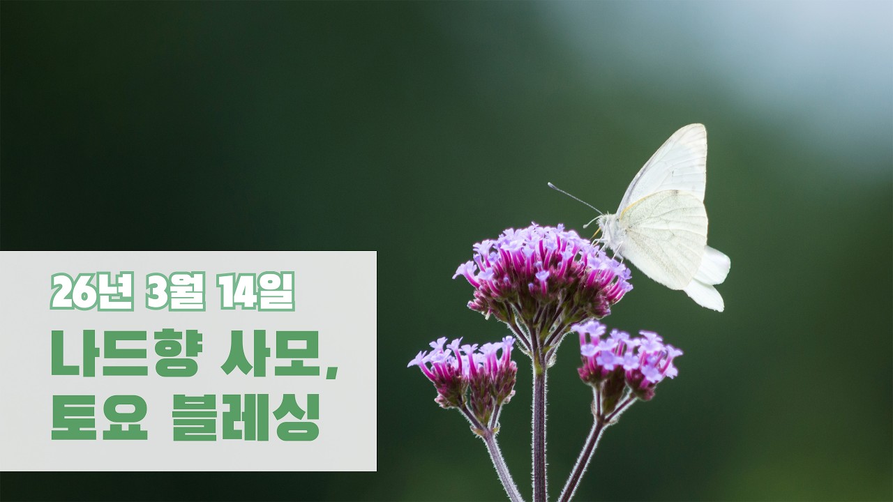 26/03/14 나드향 사모, 토요 블레싱