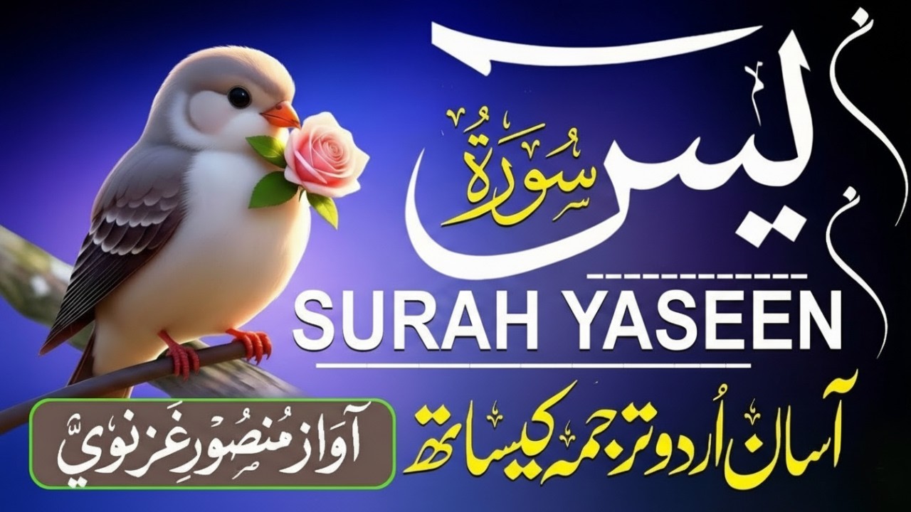 Surah Yasin (Yaseen) سورة يس | Beautiful & Peaceful Quran Recitation for the Heart #surahyaseen