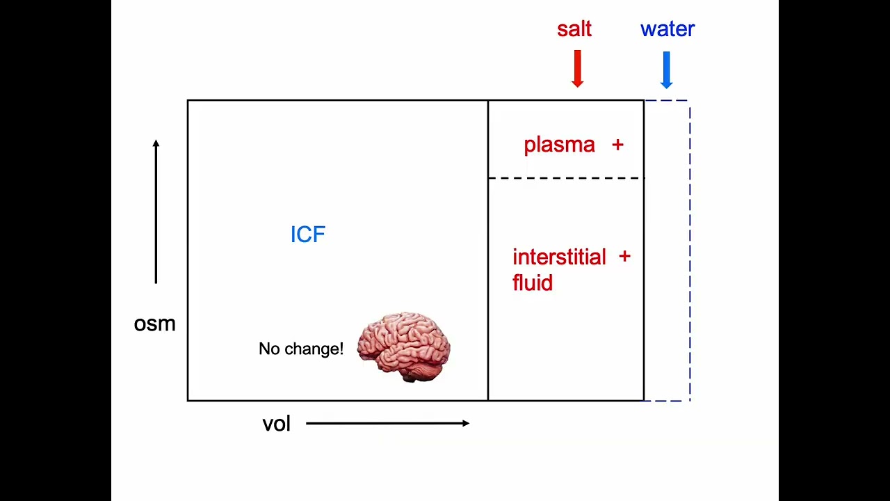 Principles of Volume and Osmolar Regulation