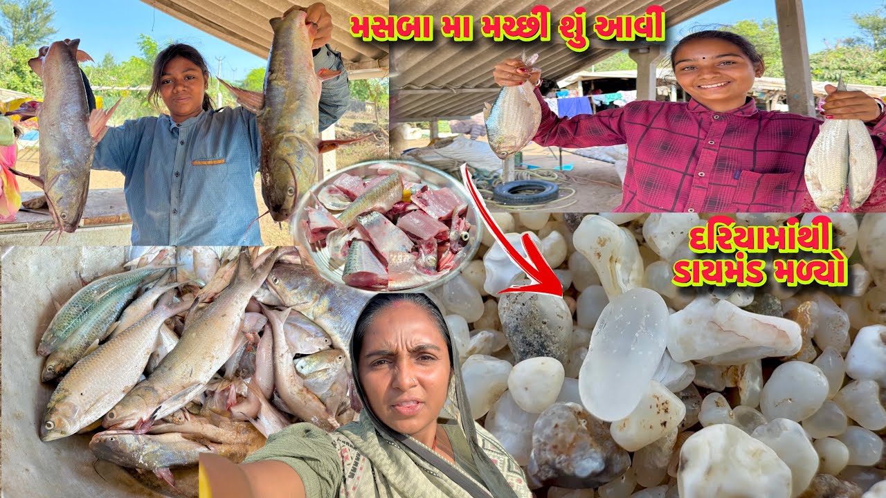 પાલવા રેશીપી🦈મિક્સ વીડીયો 🦐 palva.selva mix fishing 🎣 dariyai khedut
