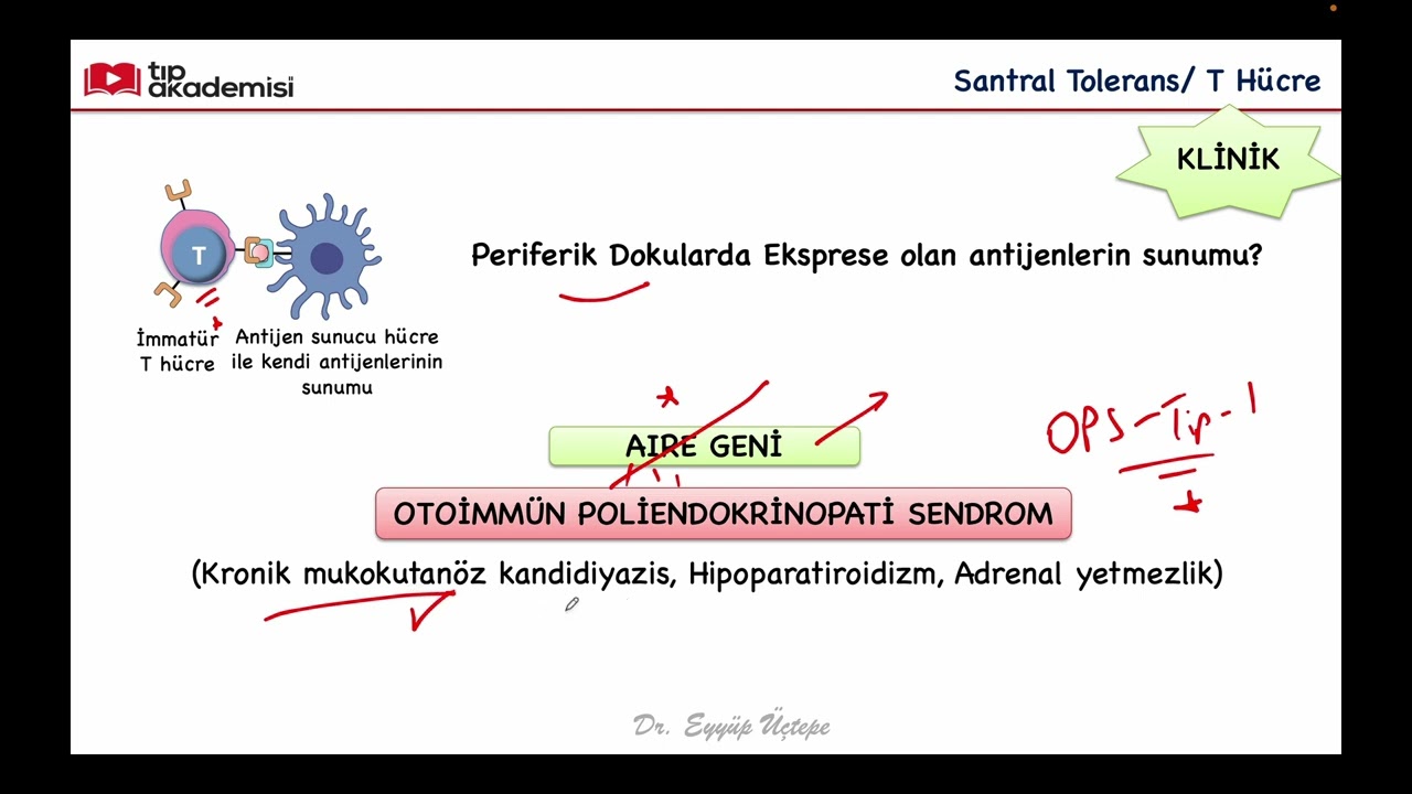 Self Tolerans ve Otoimmün Hastalıklar