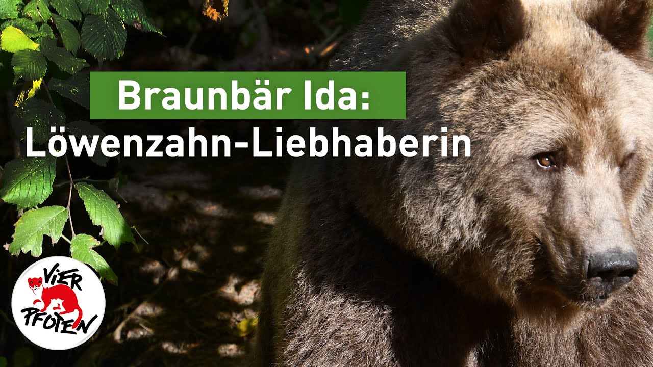 Ida: Gerettete Löwenzahn-Liebhaberin | VIER PFOTEN