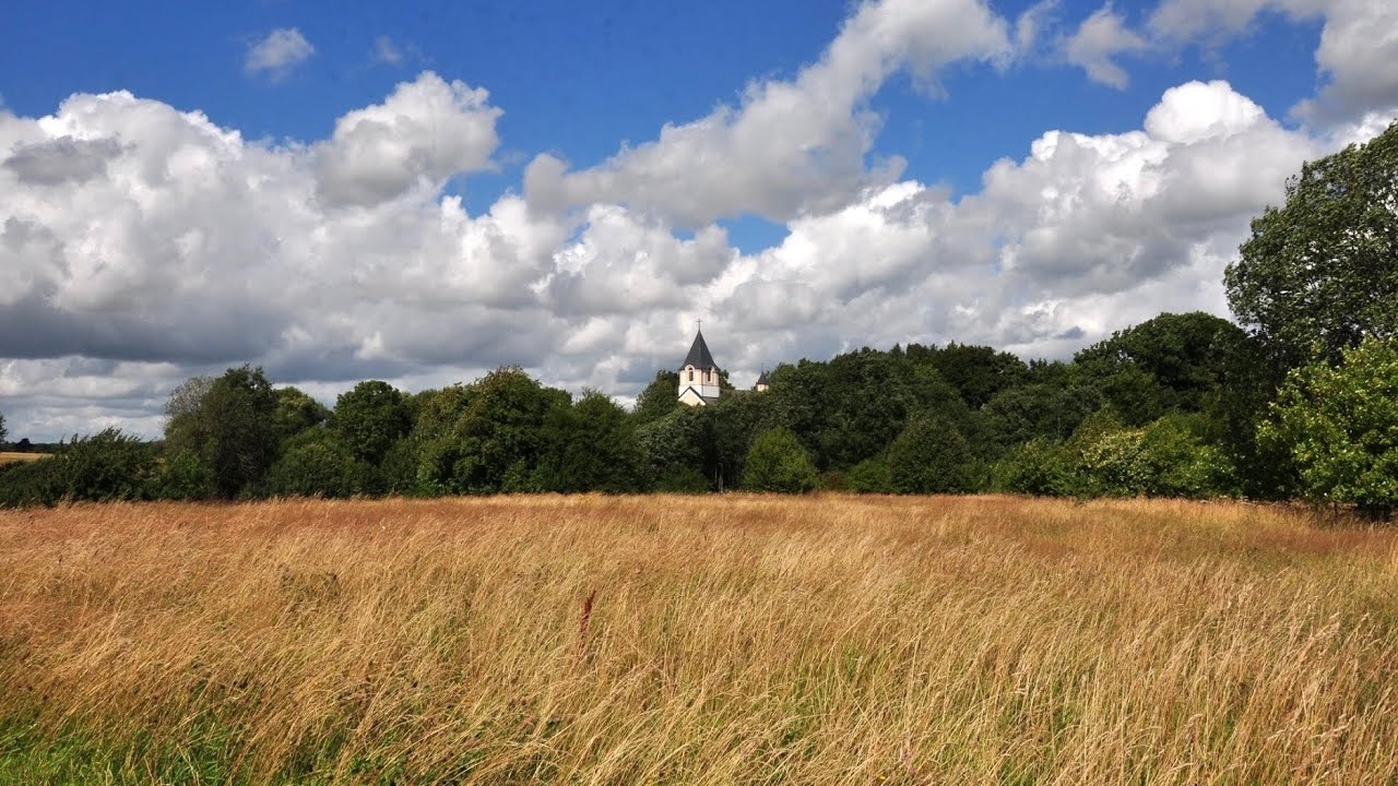2025-07-06 l Šv. Mišios iš Pakutuvėnų l XIV eilinis sekmadienis l kun. Ramūnas Mizgiris OFM l