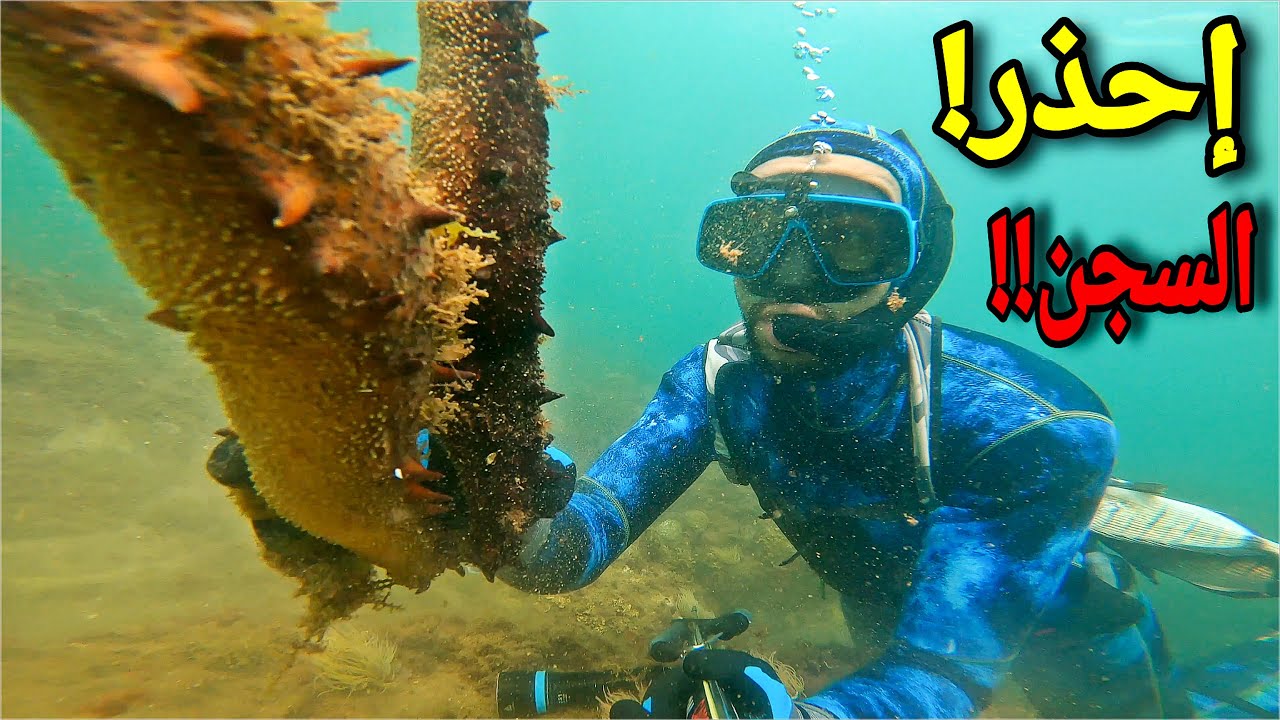 Рыбалка на глубине 0 метров 👈 Огромные морские огурцы доступны каждому!