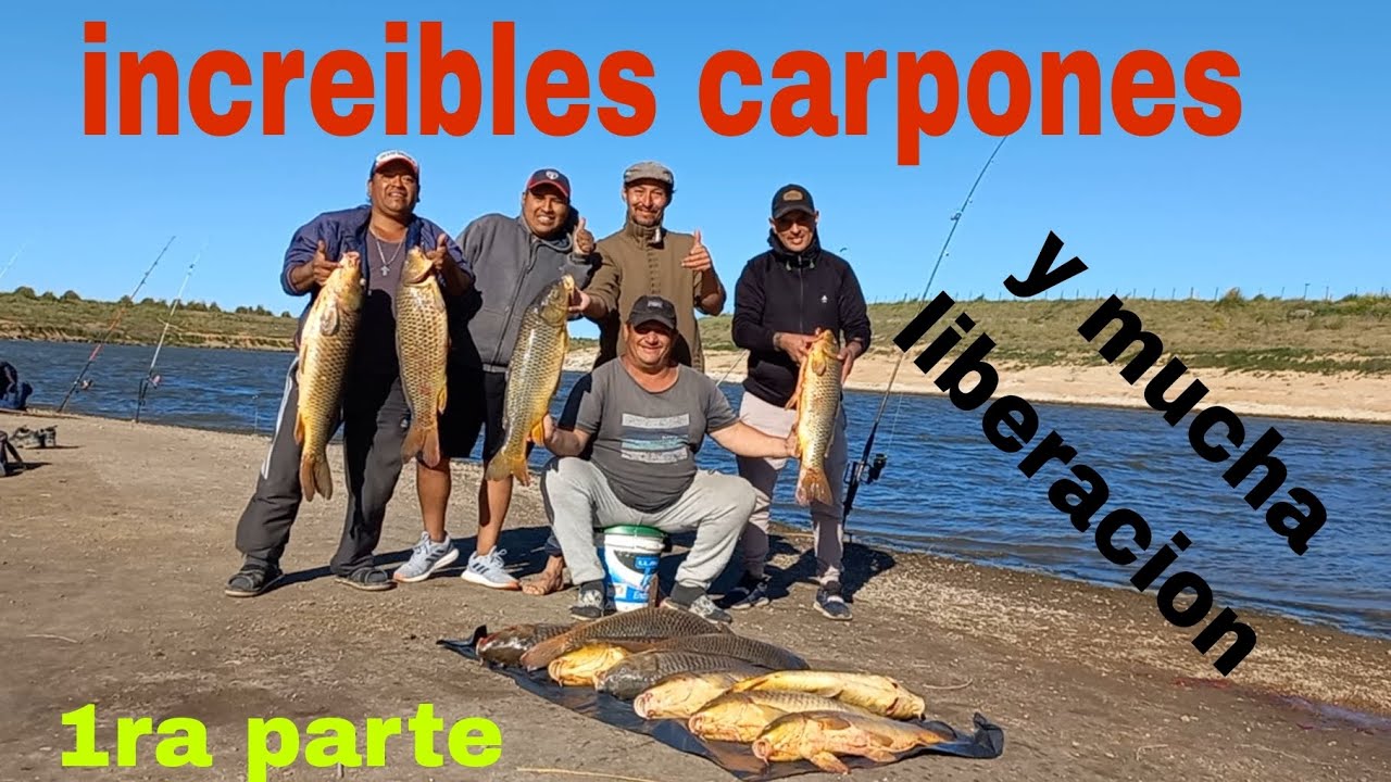 No vallas a gorch. increible pesca en rio salado gral belgrano paz y tranquilidad 💪👍🎣
