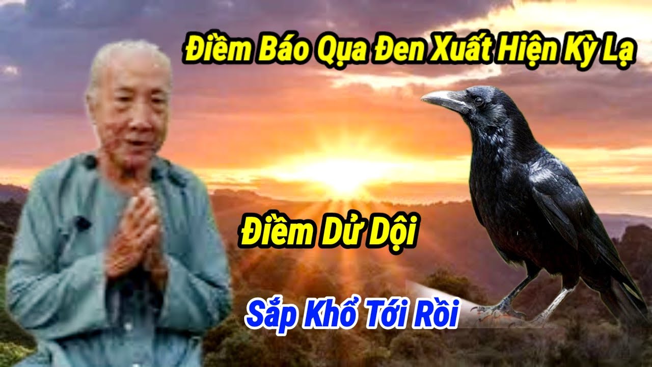 Điềm Báo Lạ Qụa Đen Xuất Hiện / Điềm Lành Hay Đềm Dử / Ngọc Dúng Hòa Hưng 