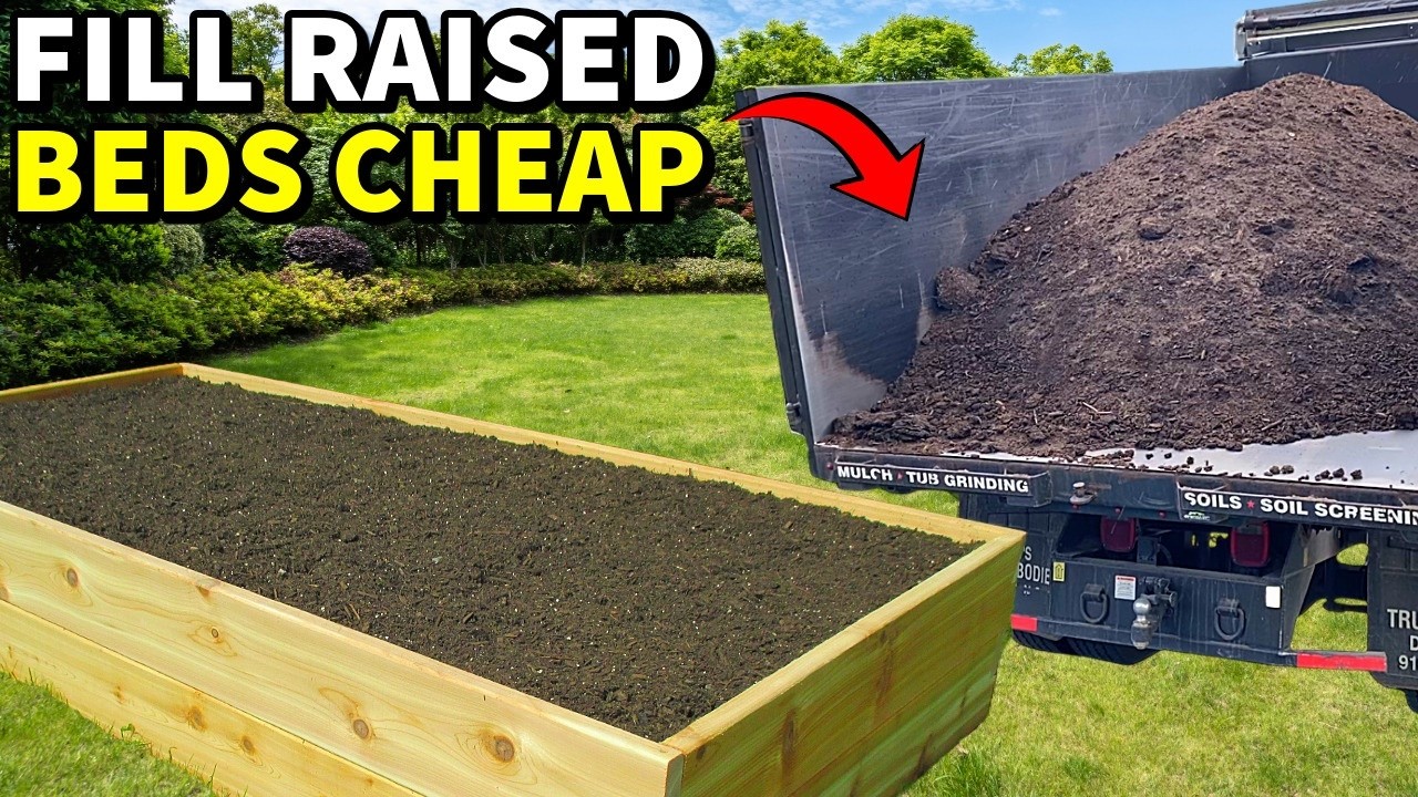 The BEST Way To Fill Raised Garden Beds, Cheap And Easy!