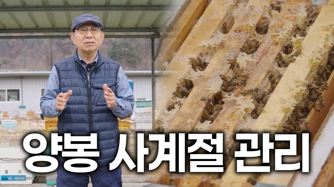 양봉 사계절 관리 (강사 김동선) 강의 영상