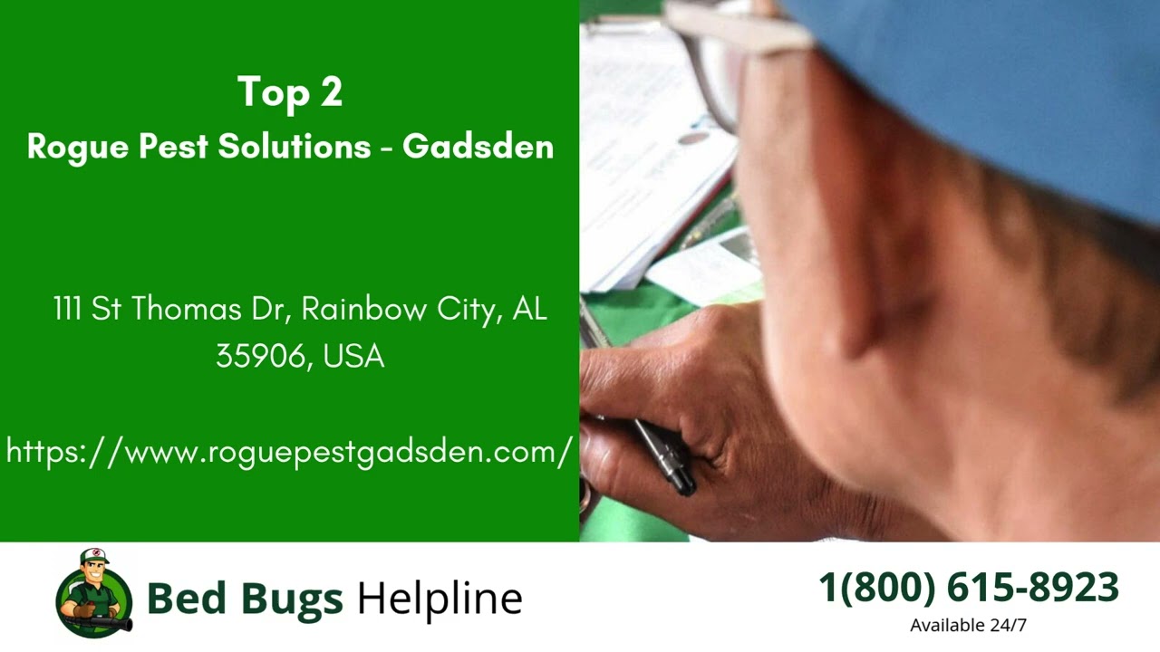 Top 3 Bed Bug Removal in Gadsden