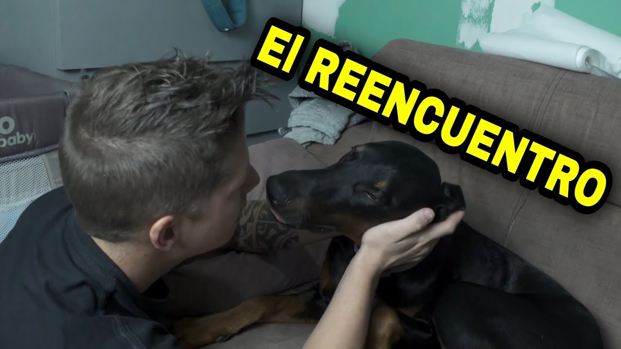 ✅ | VloG 34 | Iker va a CATEQUESIS | Vienen Mi Suegra y mi Abuela
