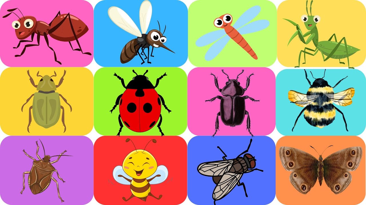 Alfabeto dos Insetos – Aprenda de A a Z com Curiosidades Divertidas! 🐞🐜🦋