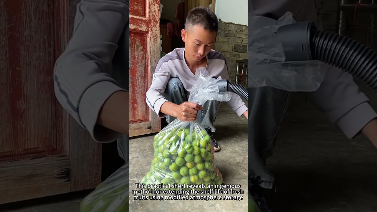 Fruit Preservation Hack: The Smart Way to Store Fresh Produce!