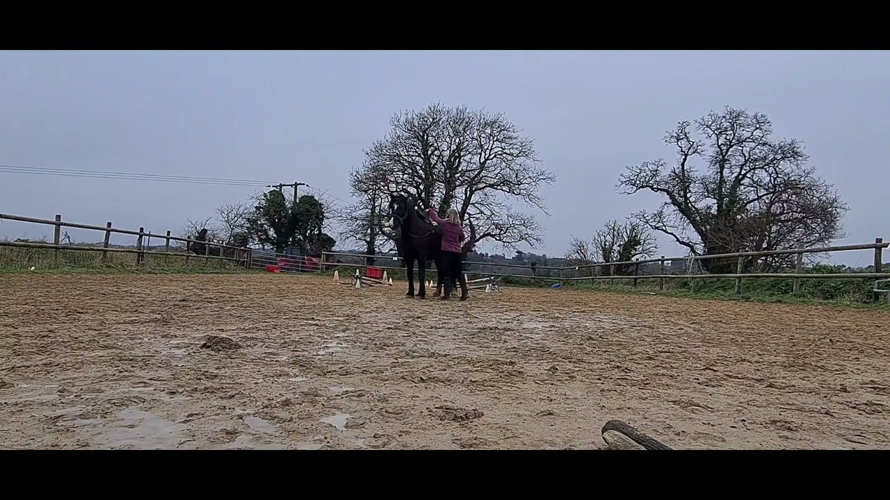 Equifeel Caval go 2024 / Ti'noir & Marina / Longues renes, manche 2