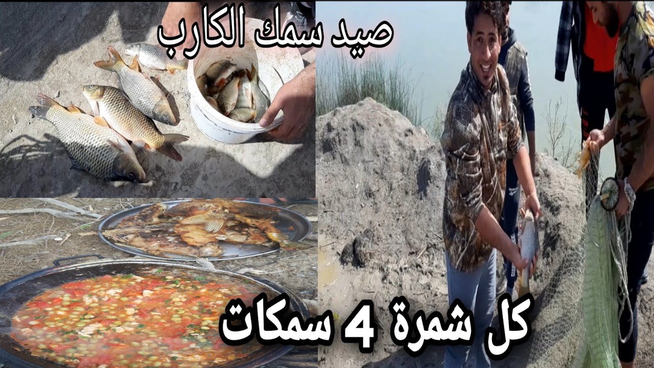 اقوى فديو صيد سمك الكارب بالسليه وطبخ اجمل اكله جنوبيه+ كلام مهم