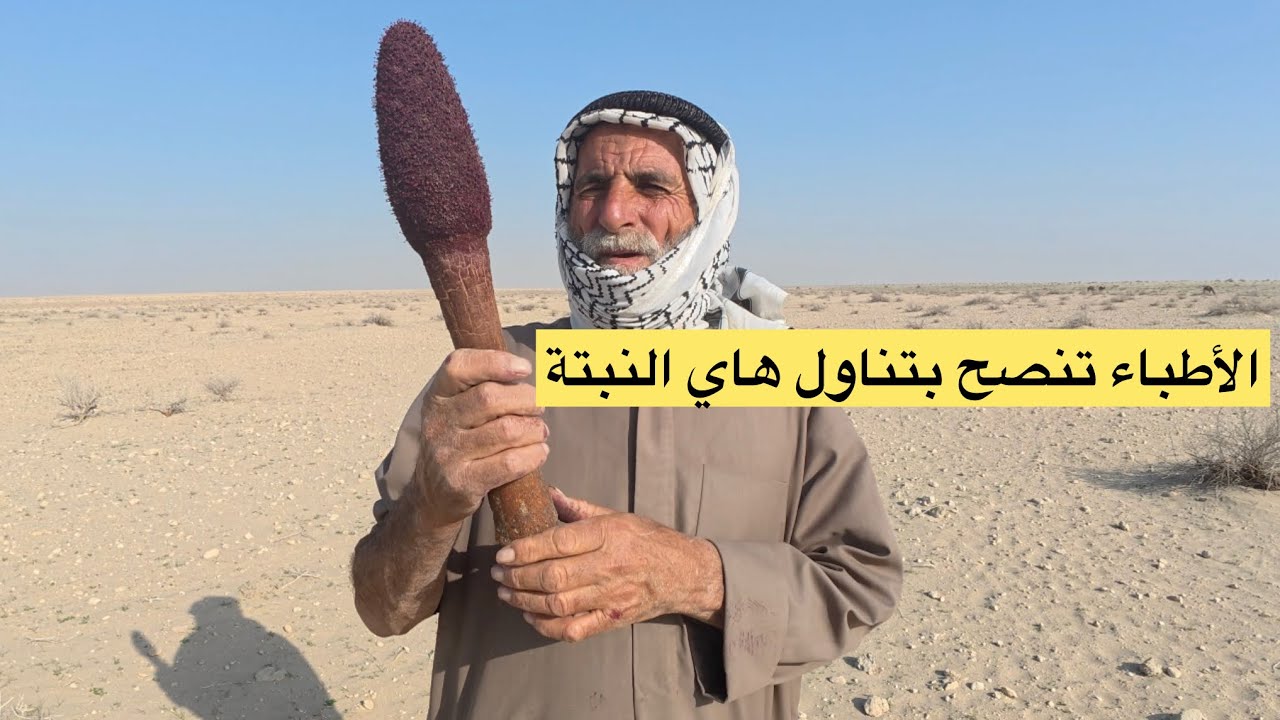 بعد بحث يوم كامل بدون توقف حصلنا على النبتة التي ينصح بها جميع الأطباء لتناولها وفائدتها راح تصدمكم 