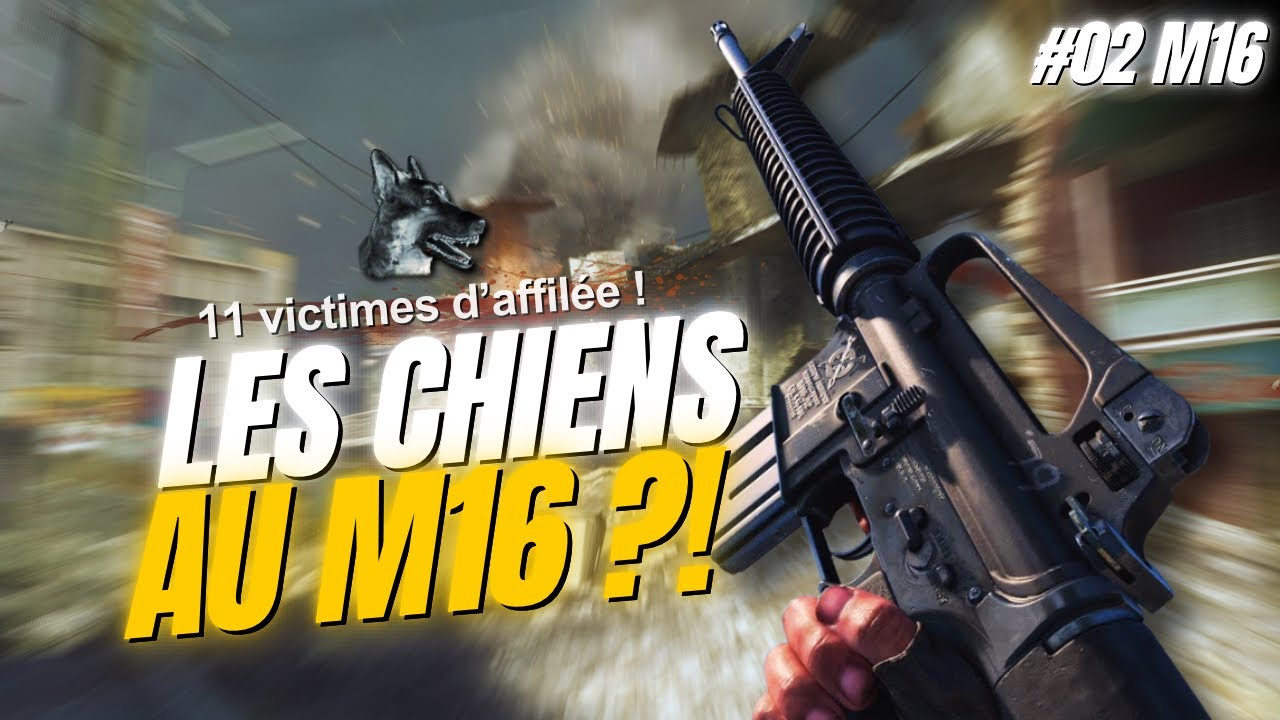 Envoyer les CHIENS avec TOUTES les armes de BO1 : le M16 ! 