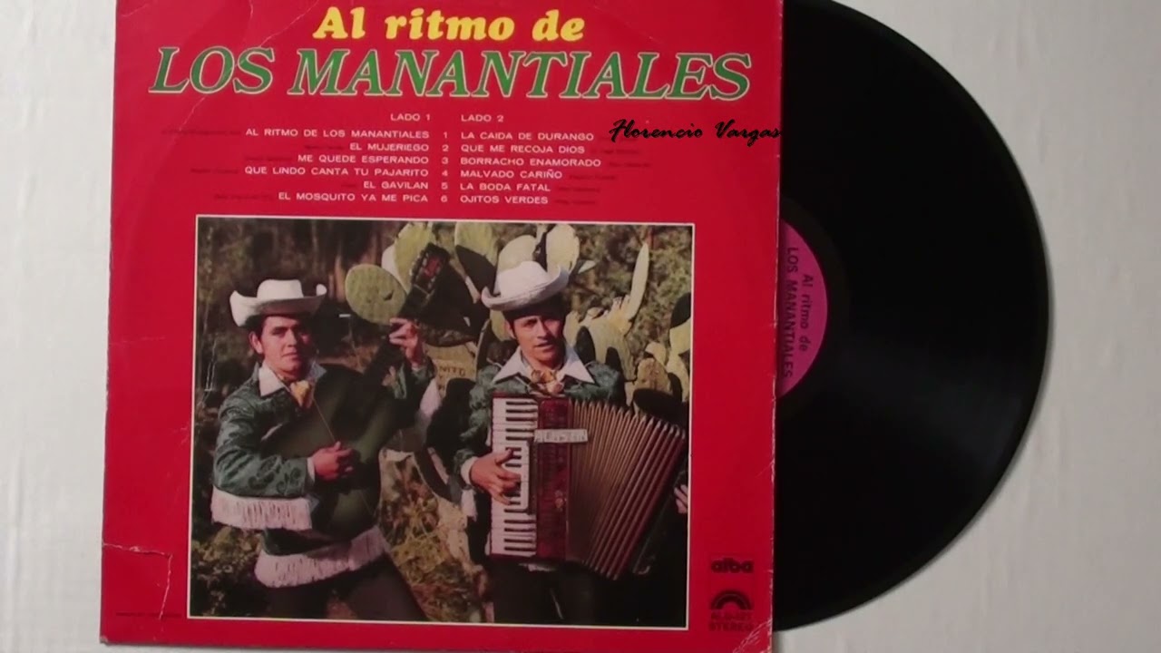 Los Manantiales= LP * La Caida De Durango & Que Me Recoja Dios * ( Sello ALBA 1977 )