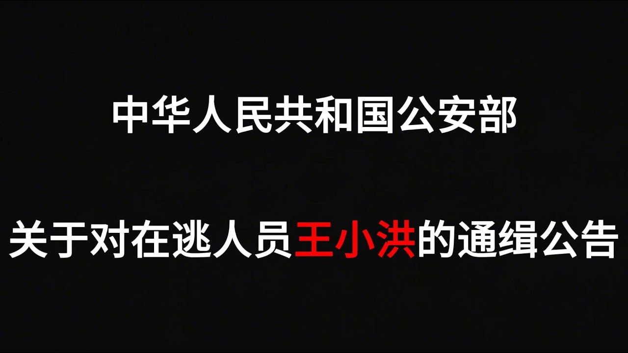 公安部部长王小洪畏罪潜逃