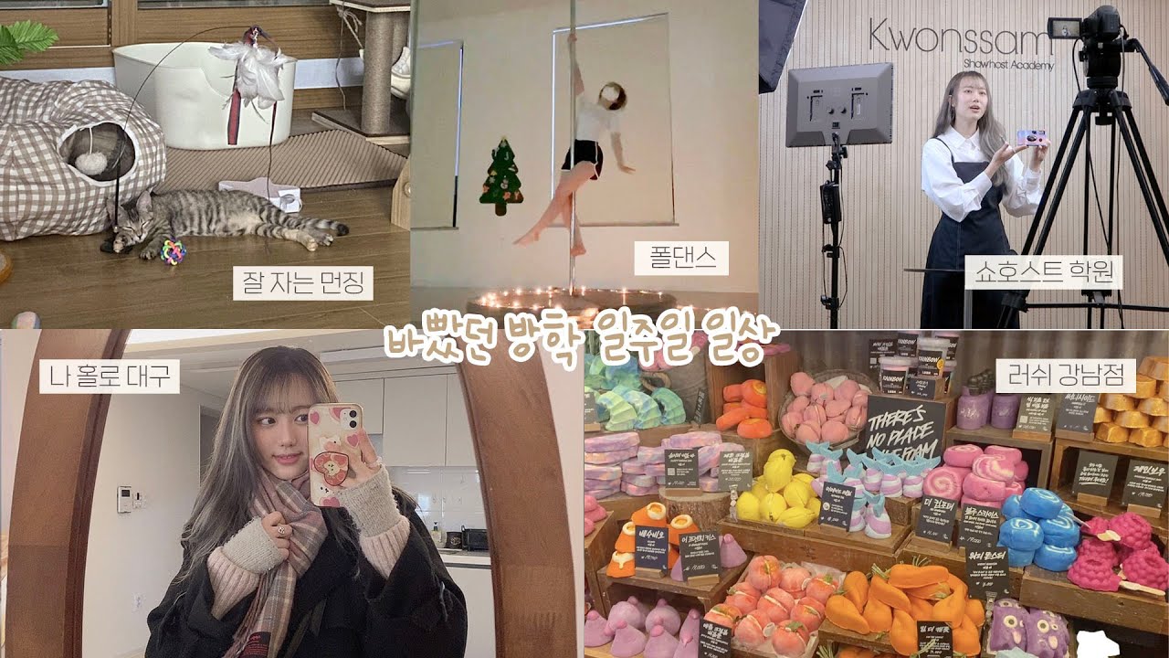 VLOG | 바쁘다 바빠🔥 알차게 보낸 일주일 일상🍃 대학생 방학 [미트]