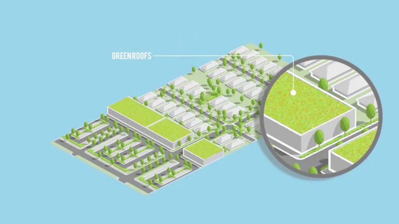 Green Infrastructure in New Orleans