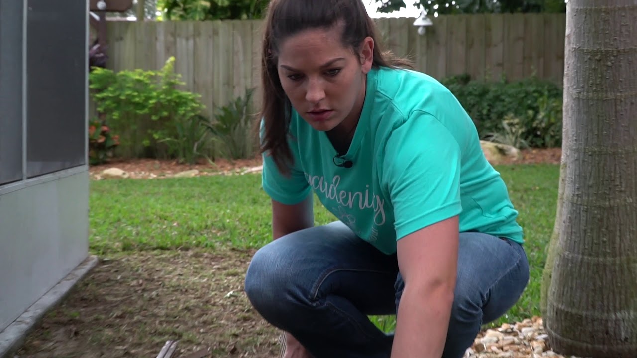 Installing Aluminum Edging In Your Landscape - DIY Tutorial