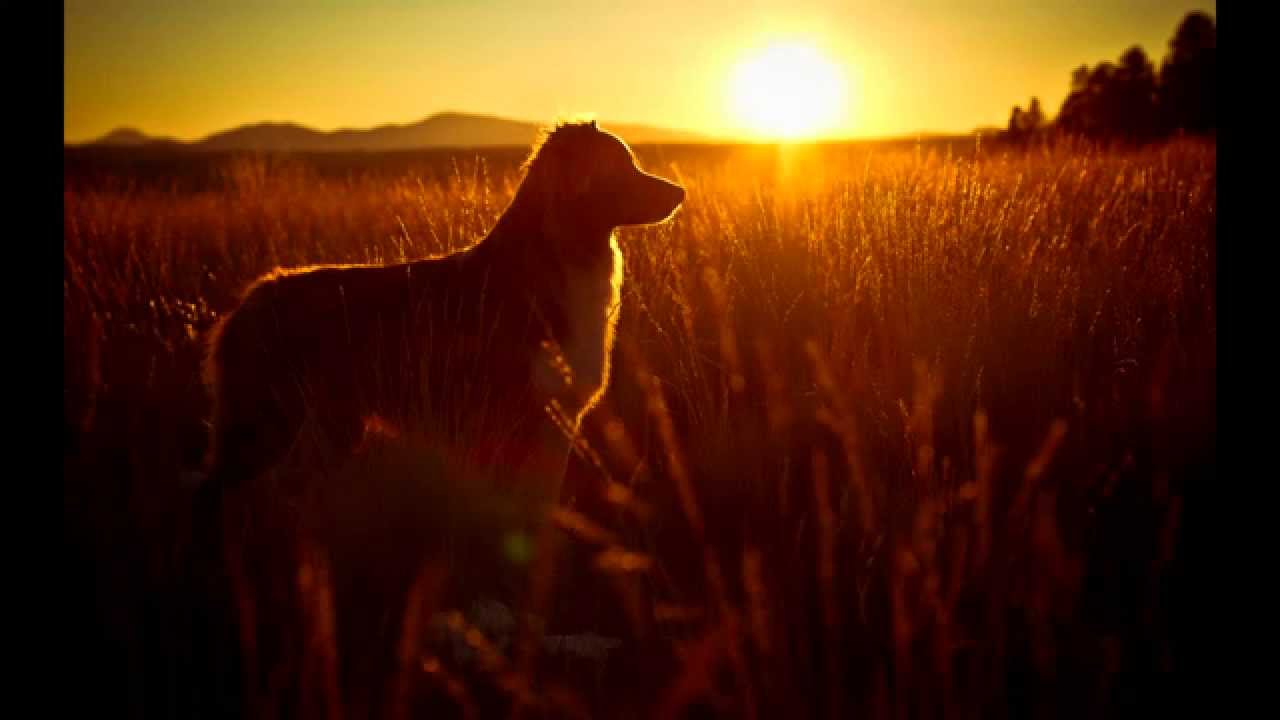 Call My Name - Von #Wollschnitzel [HD]