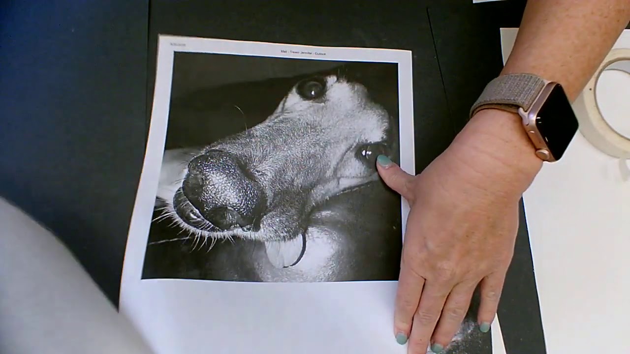 Beginning Animal Portrait:  How to trace and transfer image to paper
