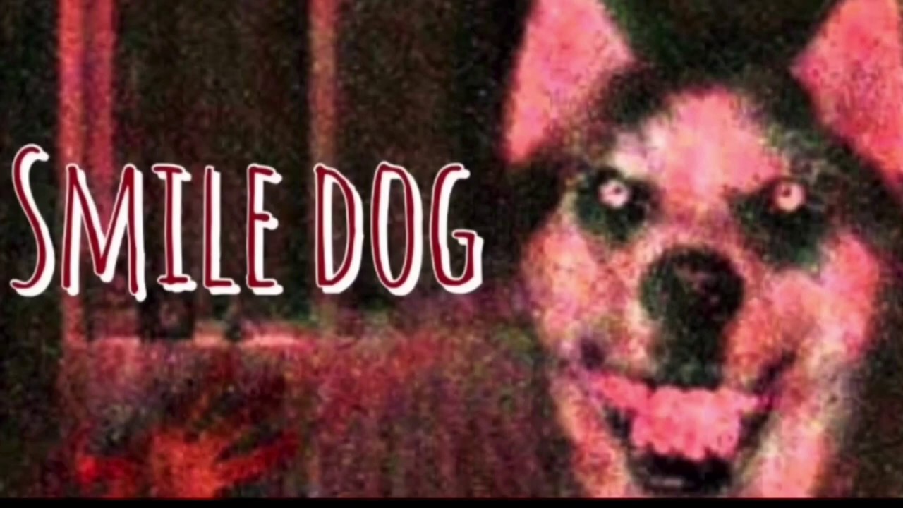 Smiledog - Norsk Creepypasta