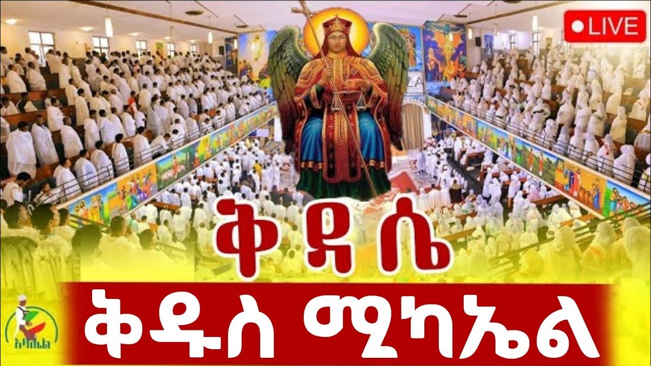 🔴Live ቀጥታ ከ6 ኪሎ ቅዱስ ማርቆስ ቤተክርስቲያን የካቲት 12//በዓለ ንግስ