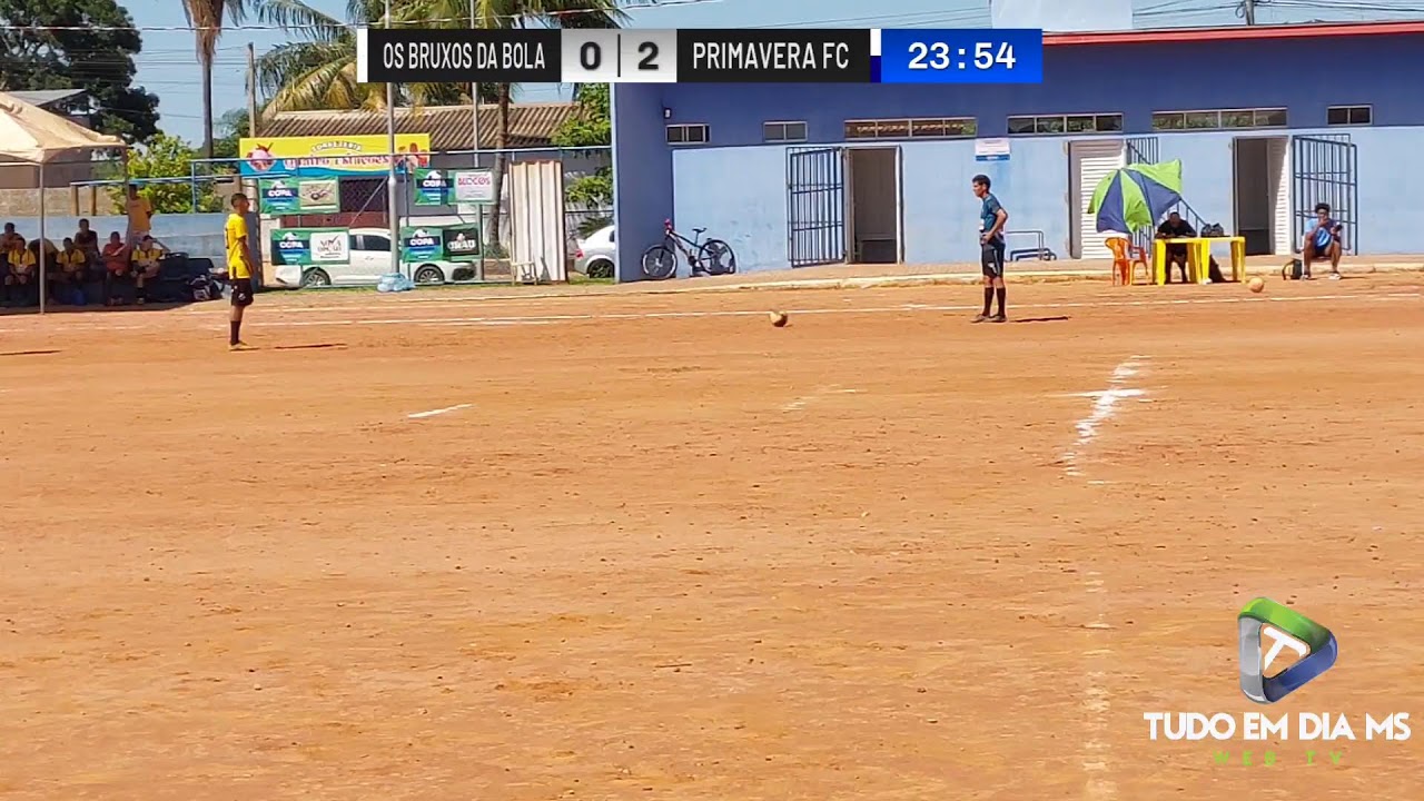 Transmissão ao vivo de Tudo em dia MS