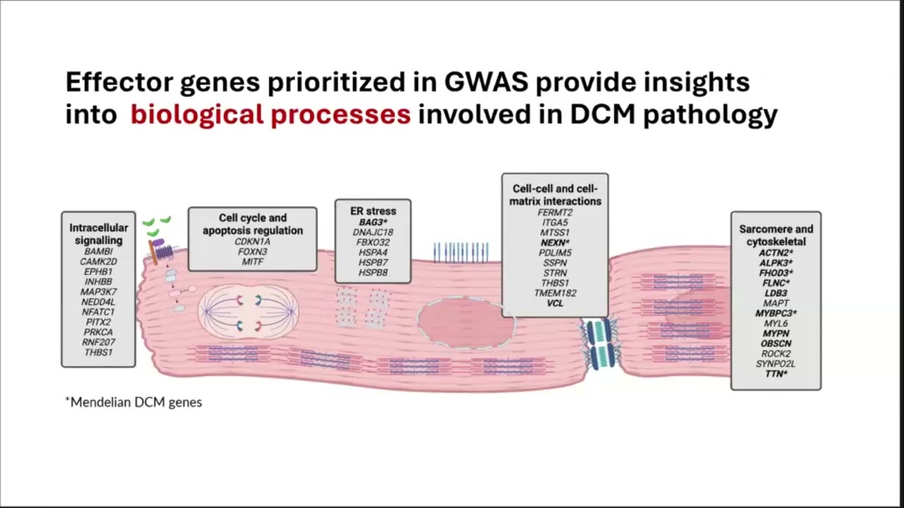 Innovations in Cardiovascular Research: From molecular pathways to population health