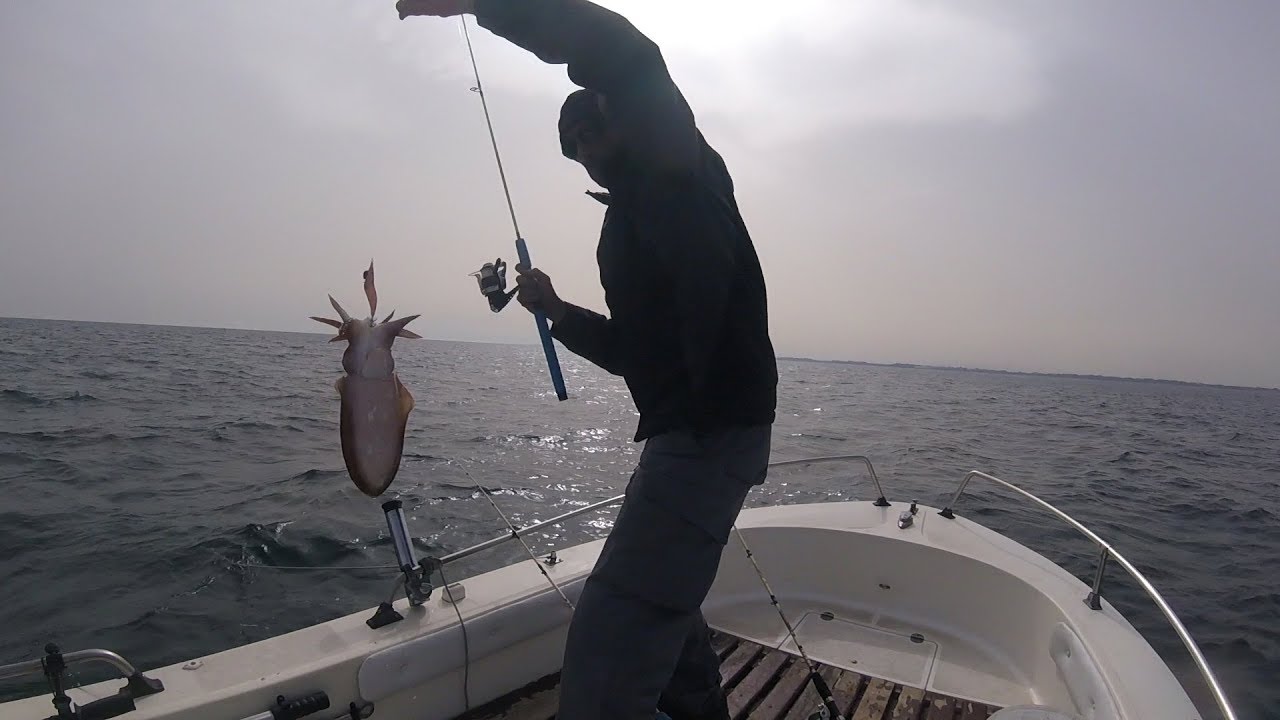 Pesca alle seppie dalla barca - Eging Fishing Game