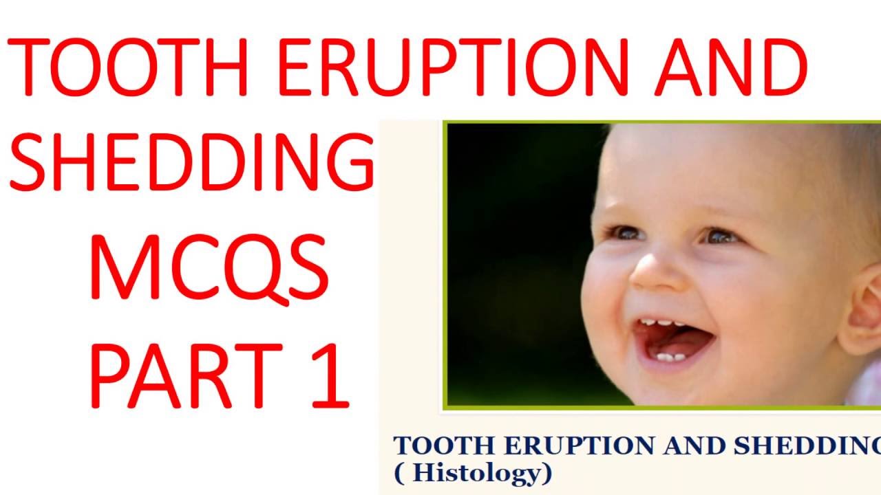 Tooth Eruption MCQS Part 1