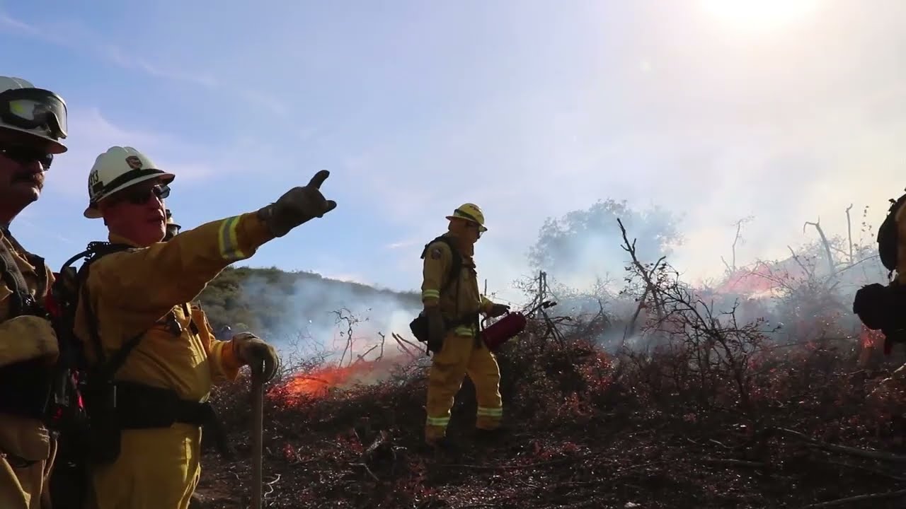 What's a Prescribed Fire?