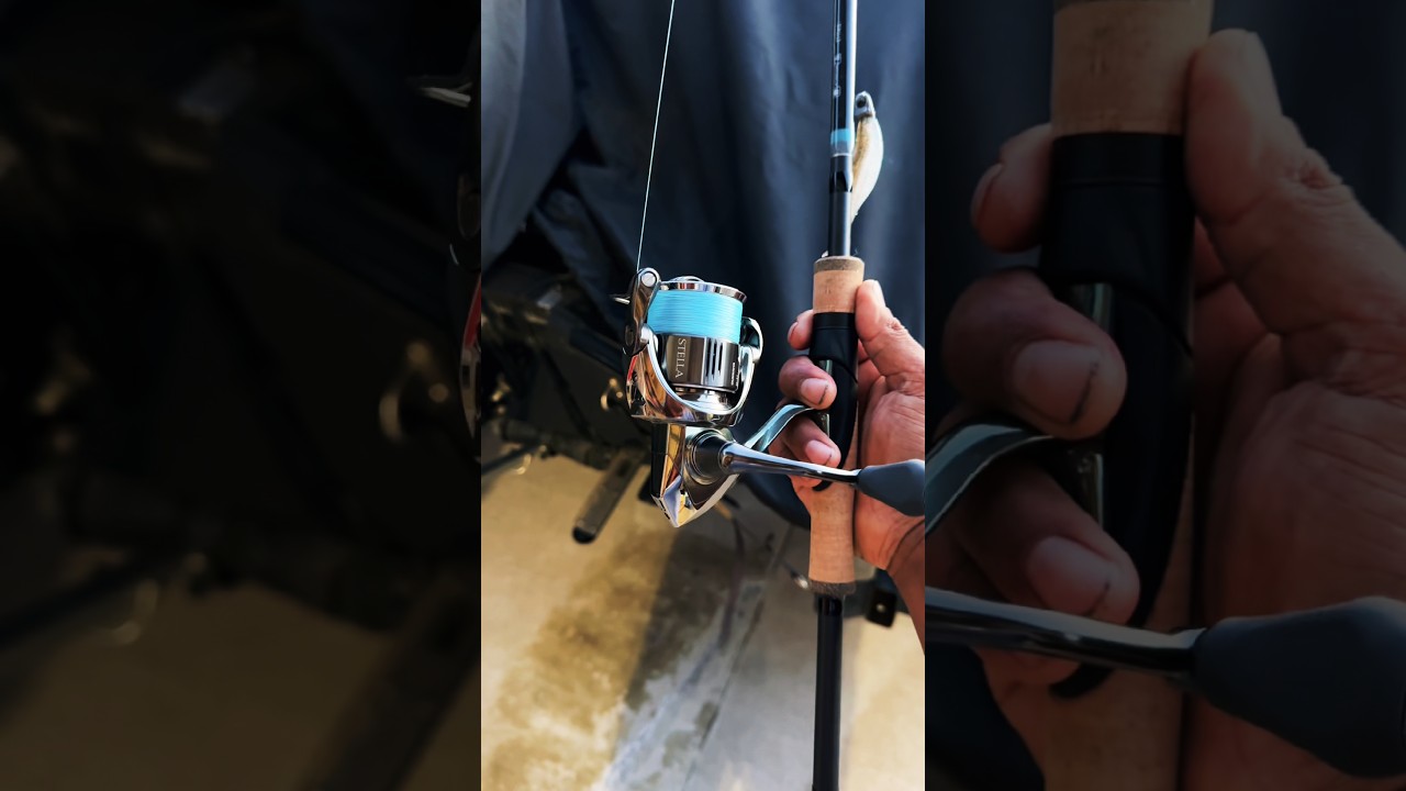#Shimano Stella 2500S FK 22 with #NRX+ 903S G. Loomis rod combo Ultra Sensitive Bass fishing setup🔥