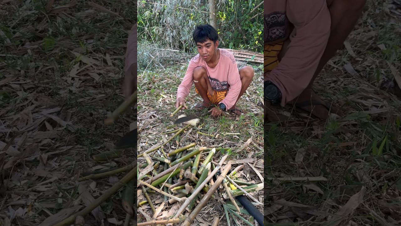 PANG IPIT SA RANGING NET #chicken #farming #agriculture #dominantcz