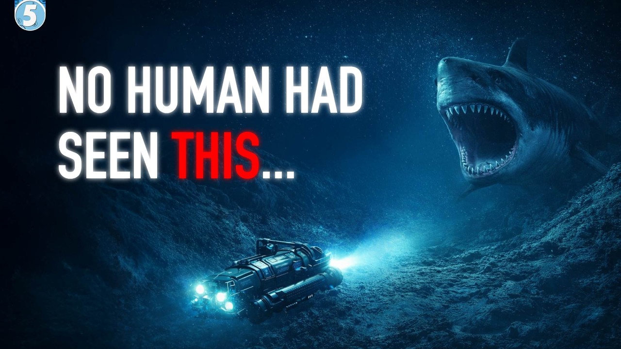 The Deepest Place on Earth Was Just Explored - Here&rsquo;s What Was Found
