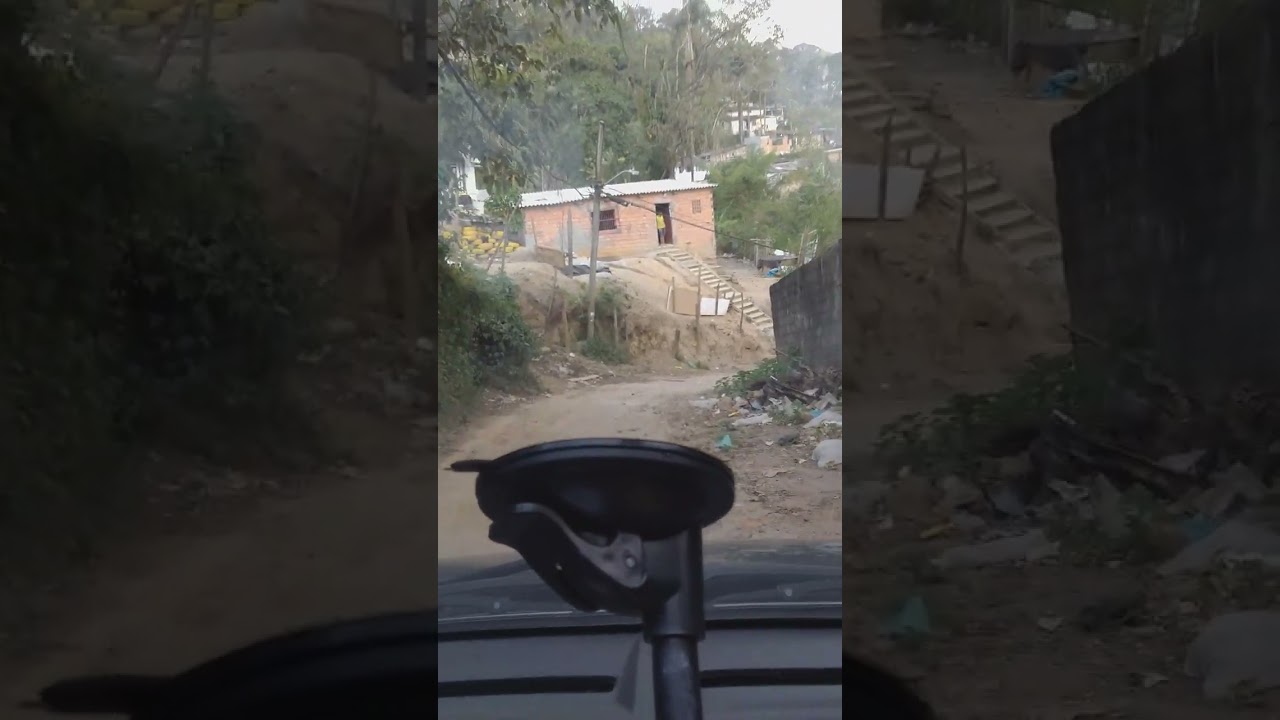 ur&ccedil;o panda na estrada (2)