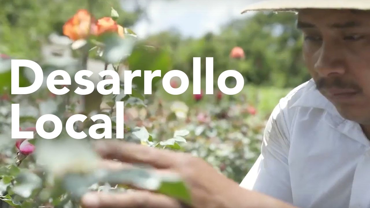 Desarrollo Local, &iquest;Qu&eacute; podemos hacer como comunidad ?