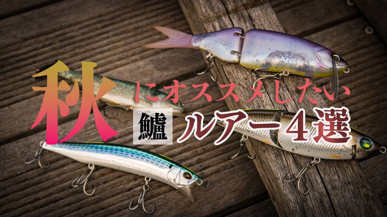 ハイシーズン到来！秋にシーバス釣るならオススメしたいルアー四選