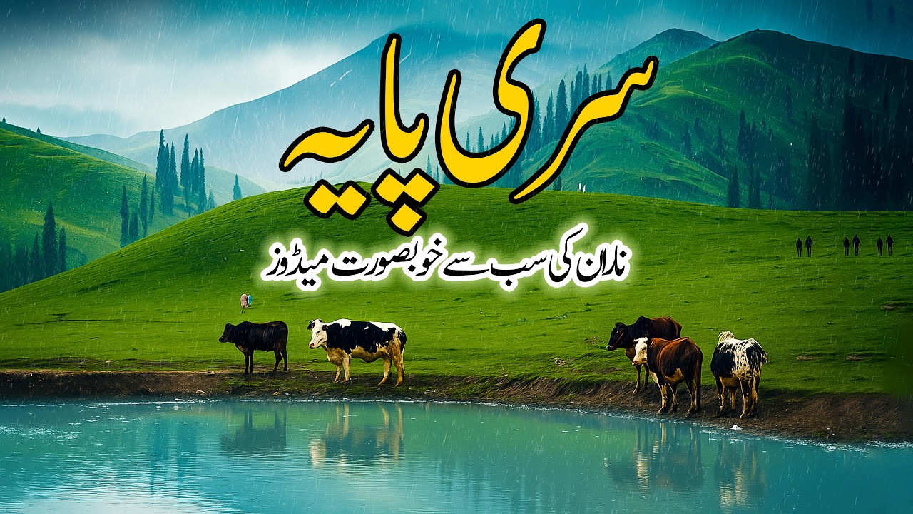 Seri Paya Meadows | Hidden Paradise of Shogran | Most Beautiful Place in Naran Kaghan Valley