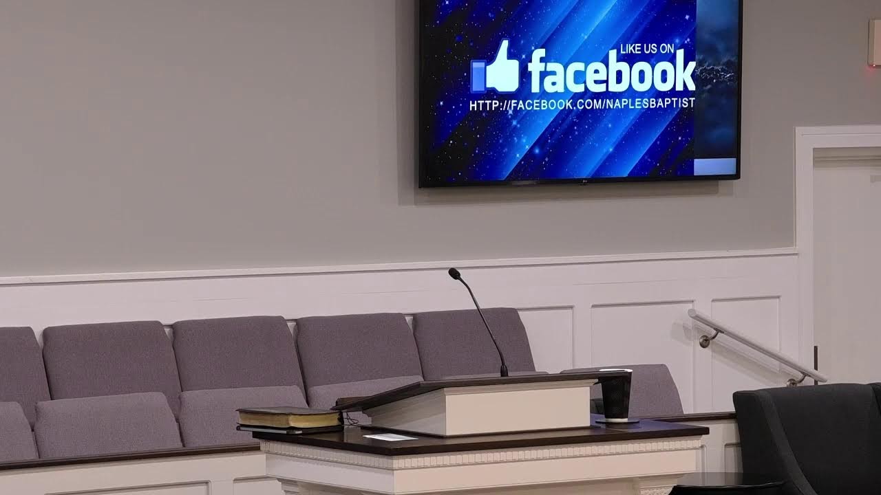 Livestream Services