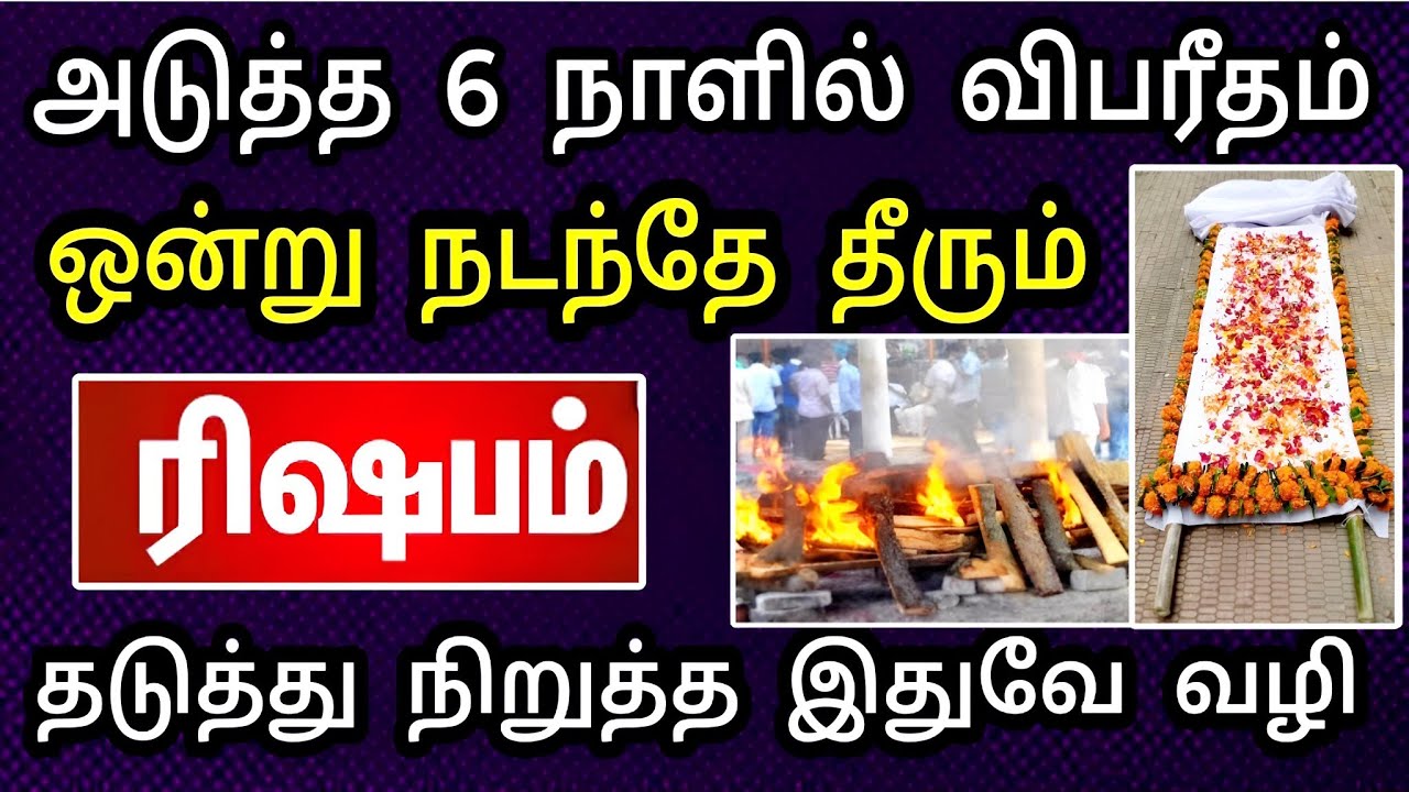 ரிஷபம் ராசி, பிப்ரவரி மாத பலன் ! விபரீத நிகழ்வு நடக்கப் போகுது ! உஷார்.. உஷார்.. உஷார் ..!