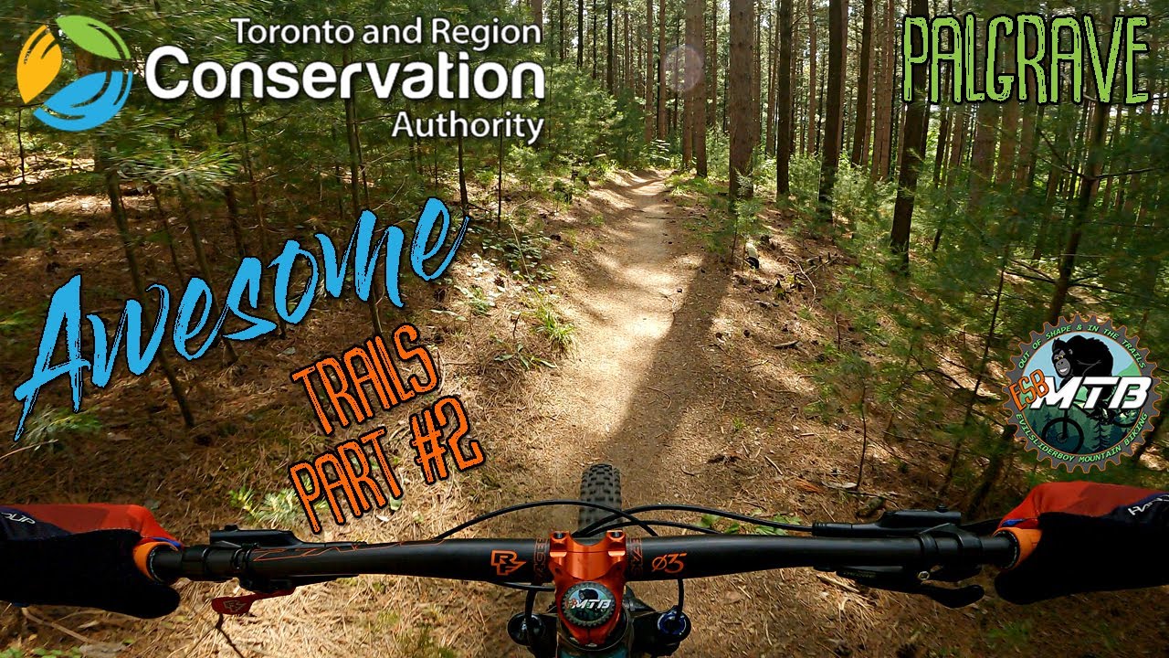 Palgrave Conservation Area part #2