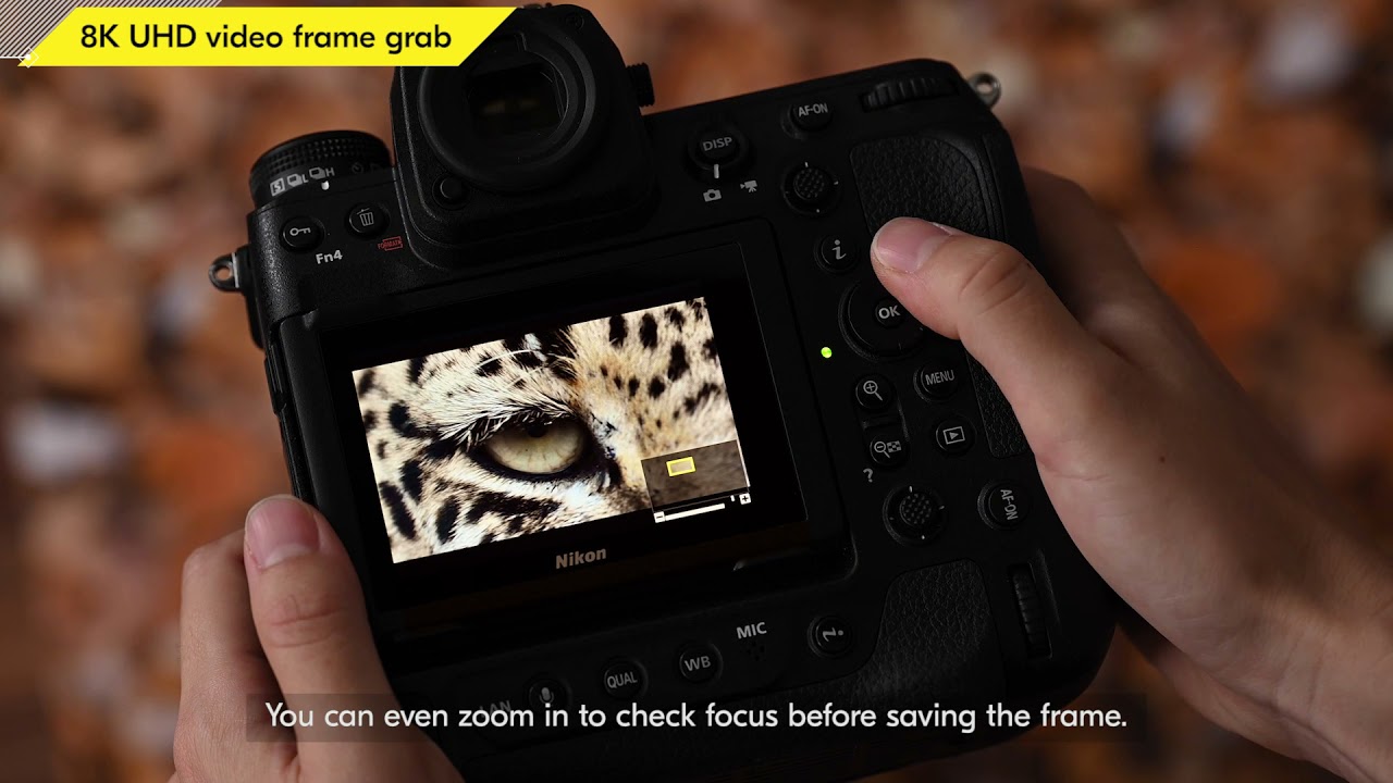 Z 9 Quick Look: Easy in-camera image grab from 8K video footage